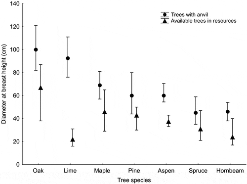 Figure 2. Median diameter at breast height (DBH) of trees with anvils compared to available trees in resources from particular species. Whiskers indicate 25–75% quartile ranges
