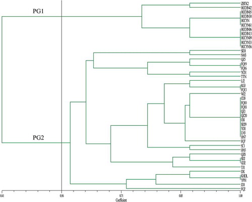Fig. 3 (Colour online) The unweighted pair group method with arithmetic mean (UPGMA) dendrogram of 44 C. cassiicola isolates based on the pathogenicity profiles on eight vegetable crops: cucumber, bitter gourd, tomato, eggplant, pepper, bean, cowpea and lettuce. The vertical line is represented as a threshold line (the threshold value was 0.56). PG1 and PG2 represent two groups at a threshold value of 0.56.