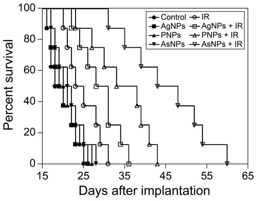 Figure 7 Kaplan-Meier survival curves for C6 glioma-bearing mice following intravenous administration of saline, AgNPs, PNPs or AsNPs with or without irradiation.Notes: Nine days after tumor implantation, the mice were systemically administered 150 μL saline or nanomaterial solution at a dose of 10 mg/kg (eight mice per group). Six hours after injection, the mice in irradiation groups were irradiated by 6 MV X-ray beams (6 Gy per mouse). IR in the figure is an abbreviation for irradiation.Abbreviations: AgNPs, silver nanoparticles; PNPs, PEGylated silver nanoparticles; AsNPs, PEG- and As1411-functionalized silver nanoparticles; μL, microliter; mg, milligram; kg, kilogram; MV, megavolt; Gy, gray.