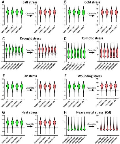 Figure 1. Standardization for all samples included GEO datasets. A. salt stress (GSM131257, GSM131258, GSM131469, GSM131470); B. cold stress (GSM131257, GSM131258, GSM131281, GSM131282); C. drought stress (GSM984521, GSM984522, GSM984523, GSM984527, GSM984528, GSM984529); D. osmotic stress (GSM901072, GSM901073, GSM901074, GSM901078, GSM901079, GSM901080); E. UV stress (GSM131257, GSM131258, GSM131407, GSM131410); F. wounding stress (GSM131257, GSM131258, GSM131437, GSM131438); G. heat stress (GSM131257, GSM131258, GSM131469, GSM131470); H. heavy metal Cd stress (GSM476827, GSM476828, GSM476839, GSM476839, GSM476840, GSM476841).