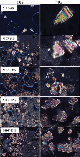 Figure 2. Microstructure of recombined butter with the various concentrations of MDF at magnifications of 10x and 40x.