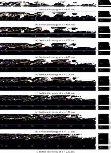 Figure 9. Sections showing the crack patterns with inverted colours compared to Figure 6. All coordinates are in mm. The horizontal lines have 5 mm spacing, the numbers next to the positive and negative y-axes denote the respective axis’ length, and the z-coordinate is defined in Figure 5(b). The translucent colours show how different cracks evolve between the sections and their top endpoints are marked by circles of the corresponding colour in Figure 7