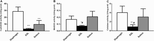 Figure 4. Antioxidant enzymes in DIA, EDL, and SOL muscles in control rat. (a) CuZnSOD, (b) MnSOD, (c) Catalase activities. n = 5–6 per group. Values expressed as means SD. * P < 0.01 vs. SOL, ** P < 0.05 vs. SOL, *** P < 0.001 vs. DIA, # P < 0.05 vs. DIA.