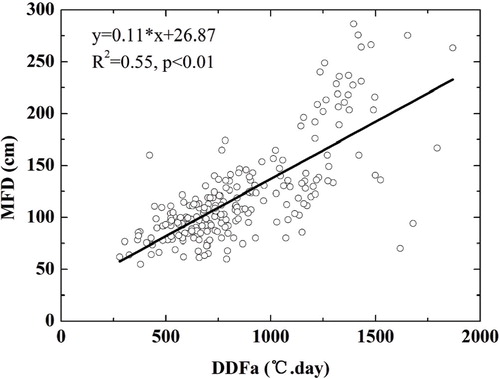 FIGURE 4. Linear relationship between the maximum freeze depth and the annual freezing index of air temperature (DDFa). Data used are from all meteorological stations within and outside the Heihe River Basin in western China as shown in Figure 1.