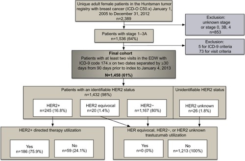 Figure 1 Patient flow, HER2 status, and HER2-directed therapy utilization.