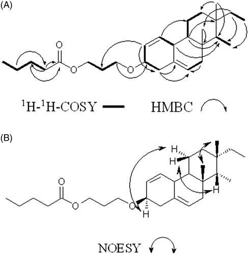 Figure 1. Key (A) 1H − 1H COSY, (B) HMBC and (C) NOESY correlations of 18 (4 → 14), 19 (4 → 8)-bis-abeo nor-isopimarane-1, 5-diene-3-yl-3β-methoxy propyl pentanoate.