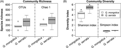 Figure 3. Fungal community richness (A) and diversity; (B) in Quercus mongolica and Quercus serrata described by boxplot. *Indicate a significant difference (p < 0.05) by two sample t-test.