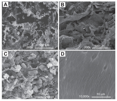 Figure 1 SEM images of scaffolds made by PCLP method (A, C) and by conventional organic solvent casting method (B, D).Abbreviations: PCLP, powder mixing, compression molding, low-temperature treatment, and particulate leaching; SEM, scanning electron microscopy.