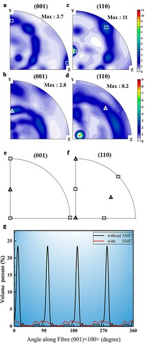 Figure 2. (a) and (b) XRD 001 pole figures (PFs) of the β phase in samples without (a) and with (b) SMF. (c) and (d) XRD 110 PFs of the β phase in samples without (c) and with (d) SMF. (e) and (f) Standard poles of <100> and <110> in 001 PFs (e) and 110 PFs (f). (g) Volume percent of preferred orientations of samples without and with SMF along (001) <100> fiber texture.
