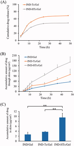 Figure 6. (A) In vitro profiles of indomethacin release from IND-Ts/Gel and IND-HTs/Gel. (B) In vitro skin permeation profiles of indomethacin from IND/Gel, IND-Ts/Gel, and IND-HTs/Gel. (C) Indomethacin retention in porcine ear skin after exposure to IND/Gel, IND-Ts/Gel, and IND-HTs/Gel for 48 h. Results were presented as mean ± SD (n = 3; **p< .01).