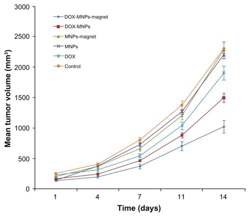 Figure 5 Antitumor effect of doxorubicin-loaded magnetic Fe3O4 nanoparticles (DOX-MNPs) in mice bearing subcutaneously established Lewis lung carcinoma.Note: Tumor volume data given as mean plus or minus standard deviation.