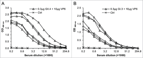 Figure 4. RV VP6-specific IgG antibody responses in sera of mice immunized with 0.3 μg of GII.4 (A) or GI.3 (B) VLPs in a combination with 10 μg VP6. End-point titration curves of each immunized mice and mean curve of the control (Ctrl) mice are shown.