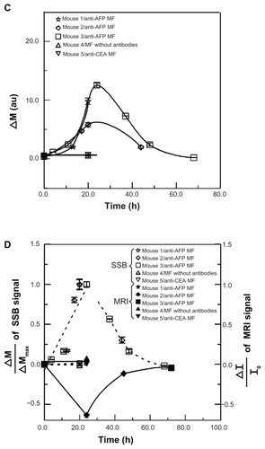 Figure 4 SSB examination of a liver tumor. (A) Setup scheme. (B) The scanning curves of all test mice at different times. (C) The variation of magnetism M of all test mice at different times. (D) The analysis comparison of SSB and MRI.Abbreviations: AFP, alphafetaprotein; CEA, carcinoembryonic-antigen; MF, magnetic fluid; SSB, scanning superconducting-quantum-interference-device biosusceptometry; MRI, magnetic resonance imaging.