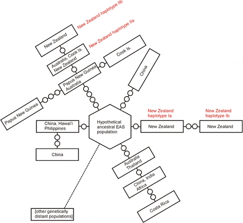 Figure 5 Haplotype network diagram showing relationships of the New Zealand haplotypes Ia, Ib, IIa and IIb to the specimens representing their closest relatives in the James et al. (2001) data set, with their geographic range shown. The open circles represent putative unsampled haplotypes.