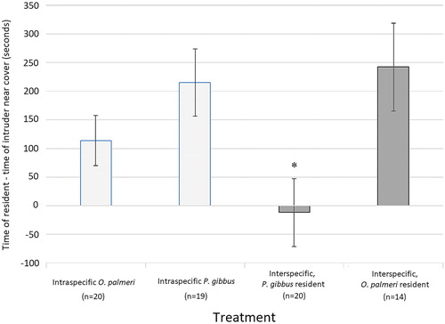 Figure 1. This shows the differences in the time of the resident – the time of the intruder for time spent near cover. P. gibbus spent less time at cover in both interspecific trials as compared to the intraspecific trial with other P. gibbus. * denotes significance of p < 0.05.