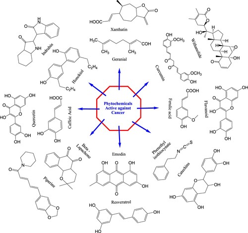 Figure 4. Phytochemicals active against cancer.