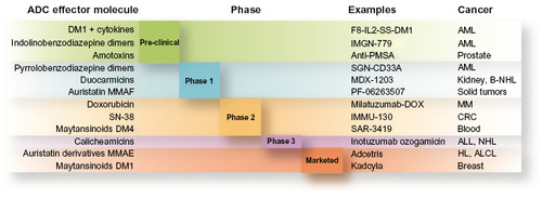 Figure 4 ADC pipeline. Clinical phase of ADCs classified by effectors, and target tumors.