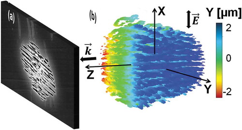 Figure 8. (a) Nanogratings formed in fused silica under ultrafast multipulse Bessel irradiation. (b) Electromagnetic calculus of planes of electronic excitation suggesting the arrangement in nanoplanes under Bessel illumination. Data from Ref [Citation107].
