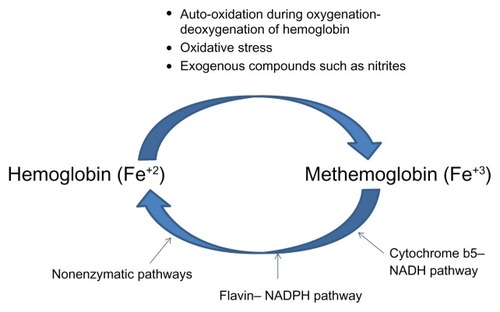 Figure 1 Methemoglobin levels are tightly controlled in the human body by an intricate balance between mechanisms that produce and reduce methemoglobin.