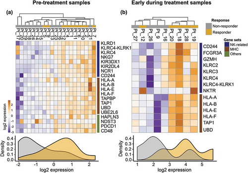 Figure 1. RNA-sequencing analysis on PRE and EDT FFPE tissue biopsies of stage IV melanoma patients treated with anti-PD-1 therapy.(a) Unsupervised Euclidean hierarchical cluster heat map of NK cell related genes in PRE treatment tissue between anti-PD-1 responding (n = 10) and non-responding patients (n = 11). (b) Unsupervised Euclidean hierarchical clustering heat map of NK cell related genes in EDT treatment tissue between anti-PD-1 responding (n = 5) and non-responding patients (n = 4).