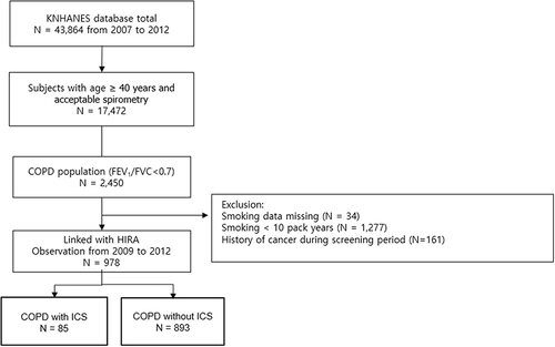 Figure 1 Flow diagram of this study.