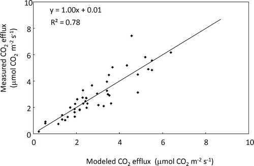 FIGURE 5 The relationship between daily average CO2 efflux modeled from Equationequations (1) and Equation(2) and measured daily average CO2 efflux. See Figure 3 and Materials and Methods section of the text for further details.