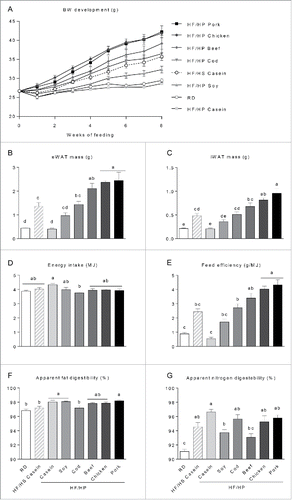 Figure 1. Effect of high fat high protein diets with different protein sources on body mass, body composition and digestibility. Male C57BL/6J mice were fed a high fat diet with a low protein:carbohydrate ratio (HF/HS) using casein as the protein source or high fat diets with a high protein:carbohydrate ratio (HF/HP) using different protein sources for 11 weeks. Mice fed a low fat regular diet (RD) were used as a reference. (A), Body mass development was recorded during the first 8 weeks. B-C , After 11 weeks epididymal white adipose tissue (eWAT) (B) and inguinal white adipose tissue (iWAT) (C) were dissected out and their masses recorded. D-E, Energy intake (D) and feed efficiency (E) were calculated based on data collected during the first 8 weeks of feeding. F-G, Apparent fat (F) and nitrogen (G) digestibility were calculated based on feed intake and feces collection during the 7th week of feeding. Data represent mean ± SEM (n = 9). Different small letters denote significant differences between the groups (p < 0 .05).