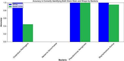 Figure 3. Accuracy of LLMs in identifying both Gram stain and bacterial shape by bacteria. Accuracy was calculated as the proportion of correctly classified images out of the total number of images.LLM: Large language model.