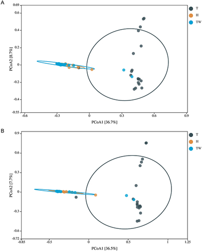 Figure 5 β diversity of microbiota in the three groups. (A) PCoA analysis based on Bray–Curtis. (B) PCoA analysis based on Euclidean.