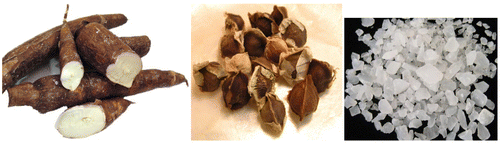Figure 1. Cassava tubers, Moringa seeds and Alum in the crystalline anhydrous form.