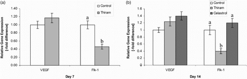 Figure 4. Real-time quantitative PCR analysis of VEGF and FLK-1 on day 7 (a) and day 14 (b), quantification of gene amplification was done using the Ct values, all expression levels were normalized using the reference gene GAPDH. Results are shown as mean ± SE (n = 4 each group), Control group set to one thus to compare the N-fold difference. abindicate significant differences (P < 0.05).