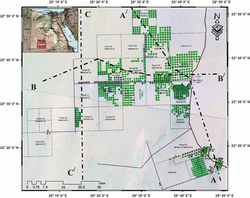 Fig. 1 Location map of the East Owienat area and of wells tapping the Nubian aquifer. A–A′ and B–B′ and C–C′ are the locations of hydrogeological cross sections.