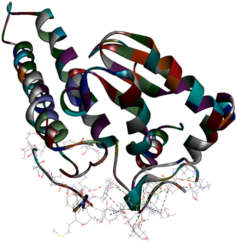 Figure 3 Top pose in largest z-ranked clustering of superoxide dismutase (ribbon shaped) (1BO6) from P. ostreatus, L. edodes and A. bisporus with Mpro of COVID-19 (6XQU) (line shaped).