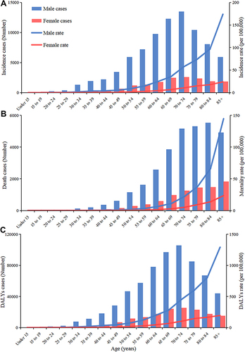Figure 1 Numbers and rates of incidence cases (A), death (B) and DALYs (C) of bladder cancer by age and sex in 2019 in China.