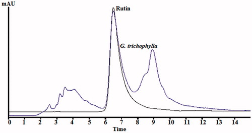 Figure 6. HPLC chromatograph of G. trichophylla methanol extract and Rutin at 360 nm.