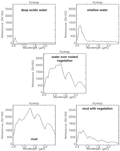 Fig. 7 HyMap spectra of the end-members used to build the map of water and mud (cf. Figs 2 and 3(f)) (source: Riaza et al. Citation2012b).