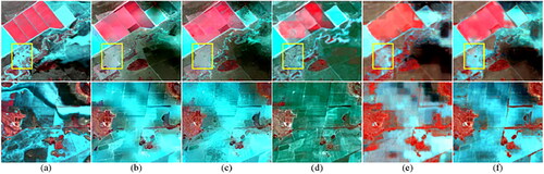 Figure 11. Enlarged details in the yellow and orange rectangles in Figure 10. (The top row is the enlarged view of the yellow rectangle in Figure 10, and the bottom row is the enlarged view of the orange box in Figure 10.) (a) Ground Truth. (b) STARFM. (c) FSDAF. (d) EDCSTFN. (e) GAN-STFM. (f) EDRGAN-STF.