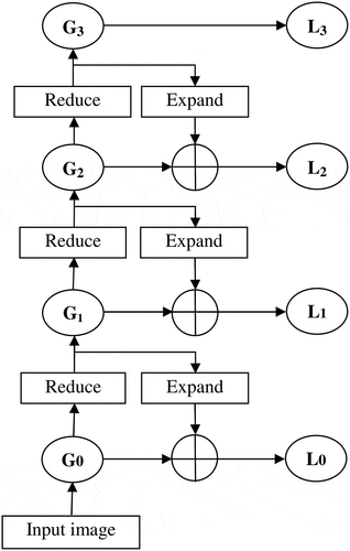Figure 1. Flowchart of Gaussian (Gl) and Laplacian pyramid (Ll)