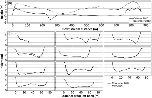 Figure 9. (a) Longitudinal and (b) cross-sectional profiles within the abandoned meander of the Morava River.