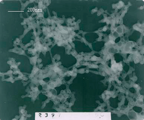 Figure 2. The TEM image of nanoscale SrAl2O4 : Eu2+, Dy3+.