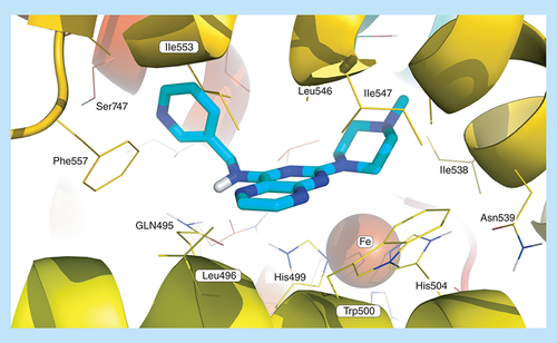 Figure 7.  Docking pose of pteridine 18d (depicted in turquoise) bound to soybean lipoxygenase (LOX-1) derived by modification of PDB code: 3PZW.Energy minimizations were carried out using the AMBER99SB-ILDN force field [Citation41] with GROMACS as the molecular simulation toolkit [Citation42]. AutoDock Vina (1.1.2) [Citation41] was used for docking. Iron is rendered as a brown sphere. Prepared using PyMOL, this figure represents the preferred pose according to scoring function.