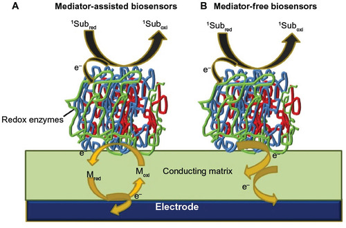 Figure 1 Schematic showing the electronic pathway for the electrochemical detection of the analyte via (A) mediator-assisted biosensors and (B) mediator-free biosensors.