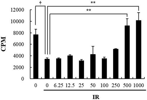 Figure 2. The effect of beetroot on the proliferation of irradiated splenocytes. Splenocytes irradiated with 1.5 Gy γ-ray irradiation were cultured in the presence of beetroot extract at various concentrations (0–1000 μg/mL) for 72 h and cell proliferation was measured using the 3H-thymidine incorporation assay. Data shown are representative of three independent experiments. Proliferative responses were assessed in triplicate for each experiment. Data are represented as means ± SEM of radioactivity-count per minute (cpm) (†p < .05, **p < .01).