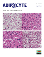 Cover image for Adipocyte, Volume 1, Issue 1, 2012