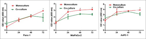 Figure 5. CCK8 assay to test the function of lymphocytes on pancreatic cancer cells (Panc-1, MiaPaCa-2 and AsPC-1). The co-culture with lymphocytes inhibited pancreatic cancer cell growth. (monoculture: pancreatic cancer cell culture alone, co-culture: pancreatic cancer cells culture with lymphocytes. * P < 0.05).