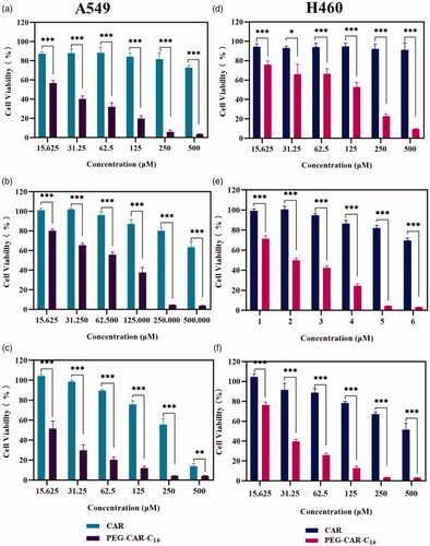 Figure 4. The cell viability rate of CAR and PEG-CAR-C16 micelles to A549 cells (a–c) and H460 cells (d–f) after 24 h, 48 h, and 72 h incubations (n = 6, *p< .05, **p< .01, and ***p< .001).