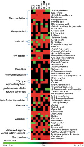 Figure 7. Heat map depicting the differential accumulation of selected metabolites and their classification in the leaves or roots of plants grown under control, salinity, silicon or salinity combined with silicon treatment. The heat map in leaves (CL) or roots (CR) of control plants, leaves (NL) or roots (NR) of plants treated with salinity, leaves (SiL) or roots (SiR) of plants treated with silicon alone or leaves (NSiL) or roots (NSiR) of plants treated with silicon and salinity. The heat map was constructed using the log10 of the mean value of three replicates of the precursor intensity (area under the peak) of three replicates of each analyte.