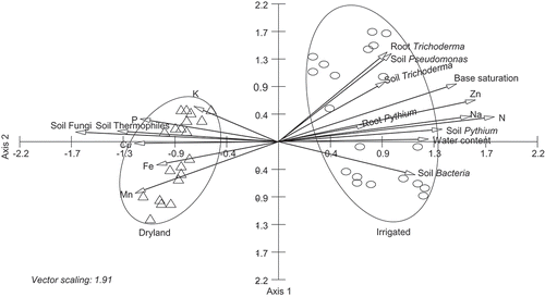 Fig. 4 CCA ordination biplot of Fusarium communities with soil physical, chemical and soil microbial populations in soils with non-irrigated (Δ) and irrigated (ο) sections of the center pivot irrigated farm. Vectors with each of the axes represent different physical, chemical and soil microbial parameters.
