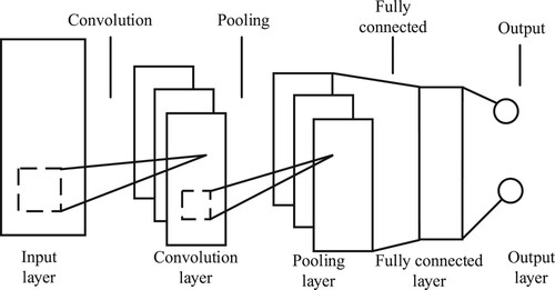 Figure 3. Basic structure of CNN.