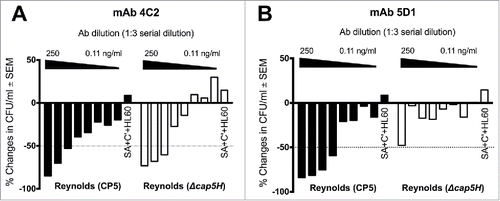 Figure 3. Opsonic activity of CP5-specific mAbs (A) 4C2 and (B) 5D1 against wild type strain Reynolds (CP5) and its isogenic cap5H deletion mutant that produces wild-type levels of O-deacetylated CP5. The mAbs were serially diluted 3-fold and tested in the OPK assay. The results are expressed as percent changes in the number of CFU/ml after a 2-h incubation with mAb, HL60 cells, and a complement (C’) source. The samples labeled SA+ C’+HL60 contain no mAb. The titer is expressed as the lowest mAb dilution that killed 50% of the inoculum (dotted line). The experiment was performed twice, and a representative experiment is shown.